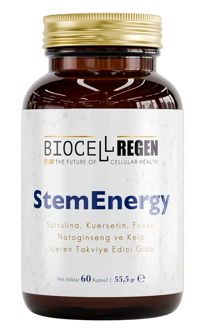 StemEnergy