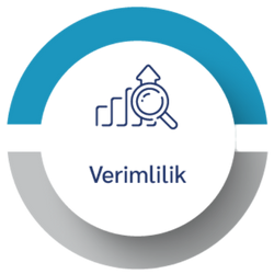 Verimlilik