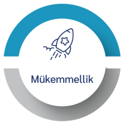 Mükemmellik