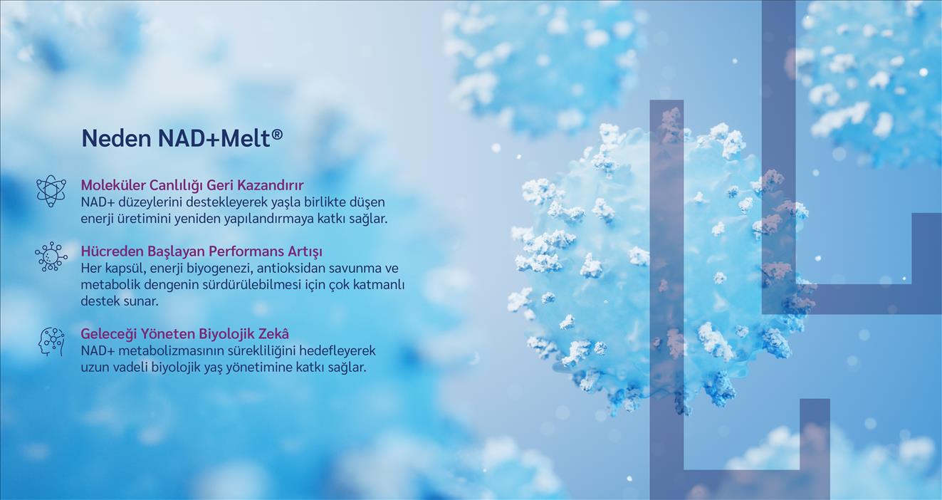 StemEnergy Bilimsel