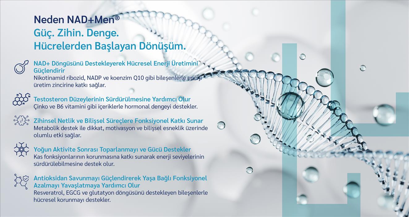 StemEnergy Bilimsel