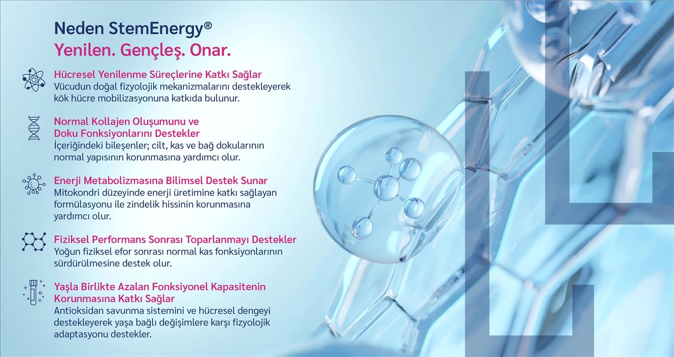 StemEnergy Bilimsel